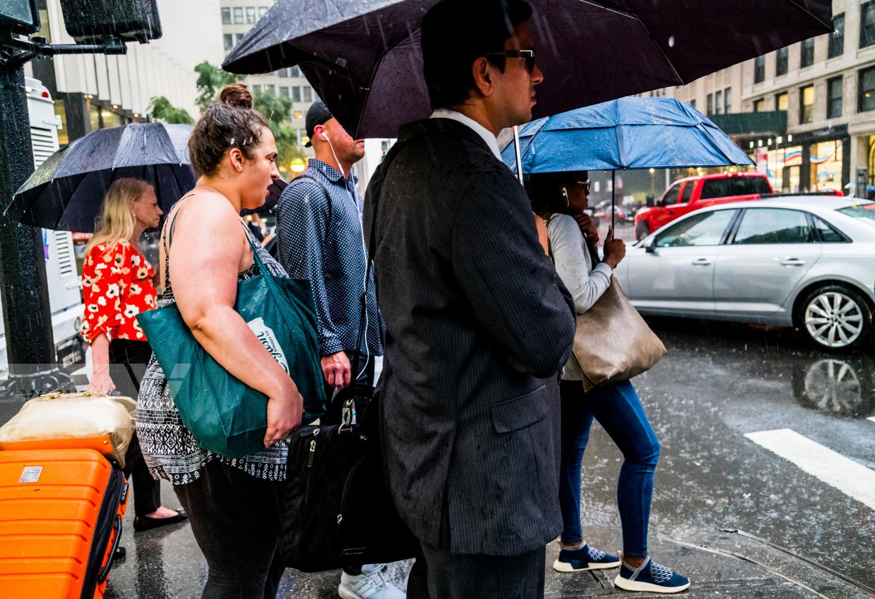Purchase When it Rains 180906789 by Kenneth Nelson
