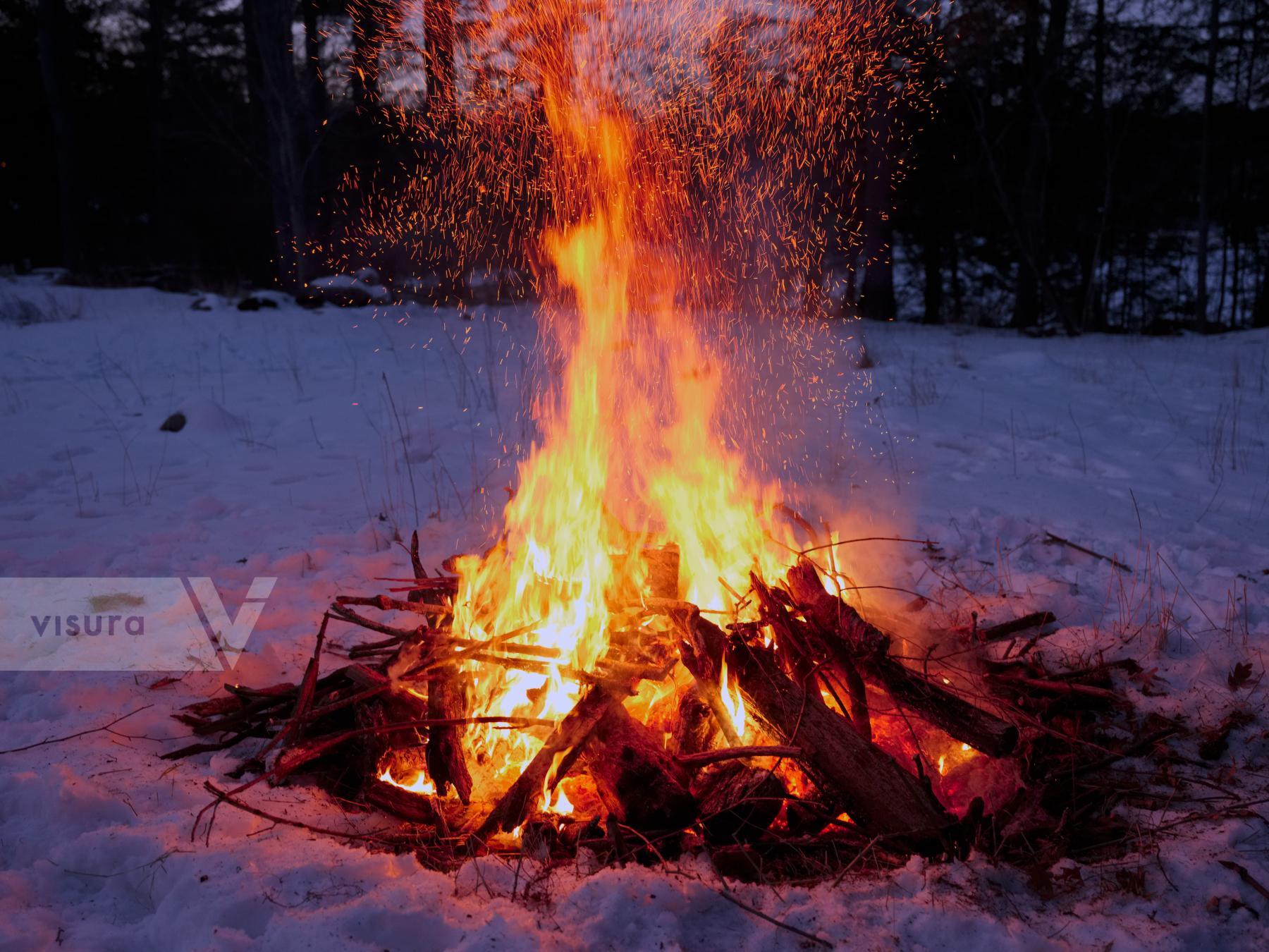 Purchase Winter Fire by Ellen Kok