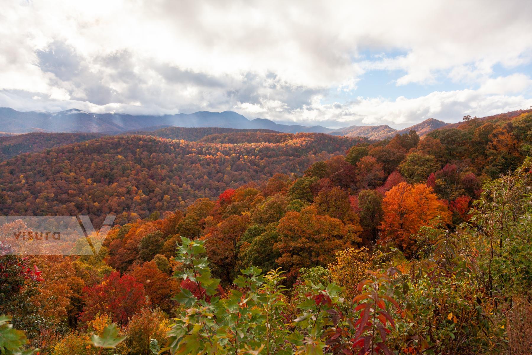 Purchase Leaves Changing Along the Blue Ridge Parkway by Katie Linsky Shaw
