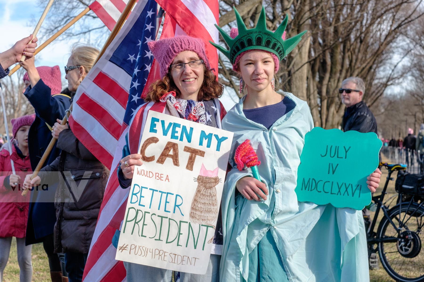 Purchase Women's March on Washington Anniversary by Carla Cioffi