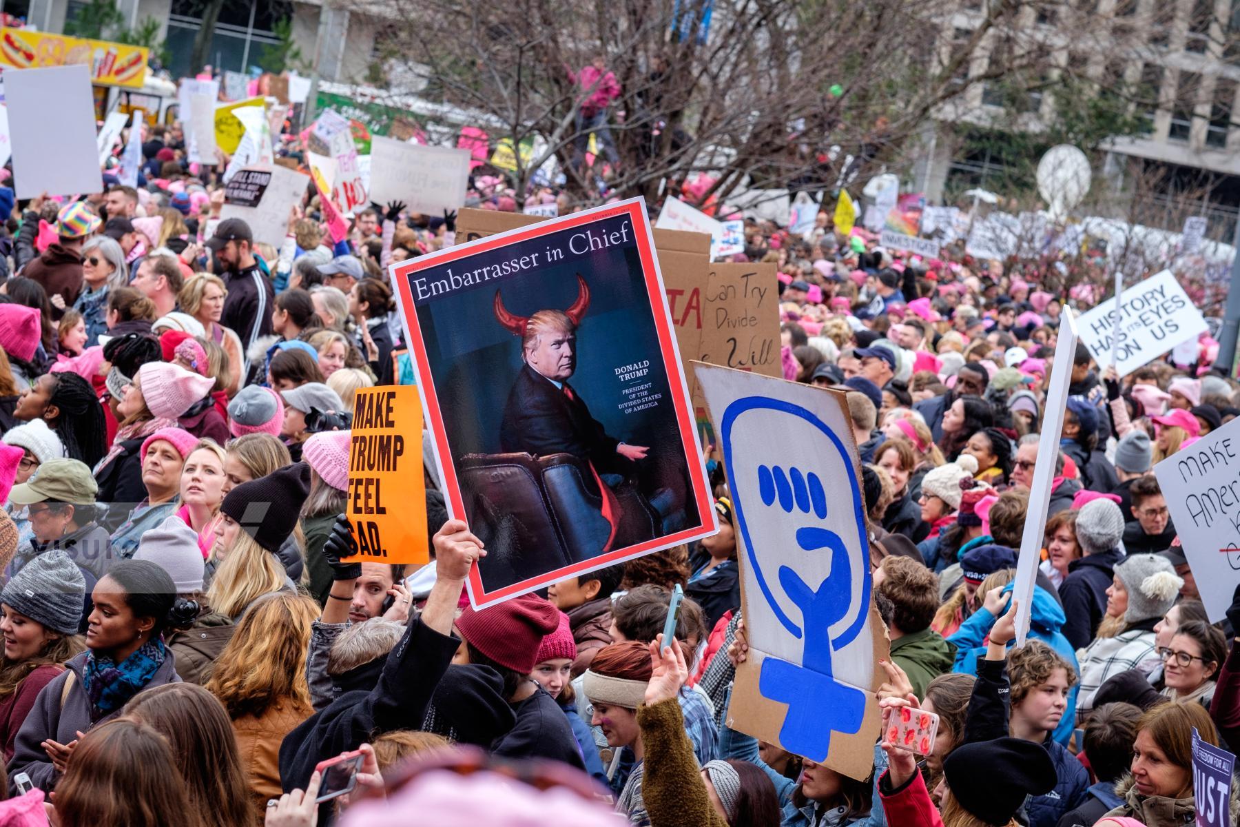 Purchase The Women's March on Washington by Carla Cioffi