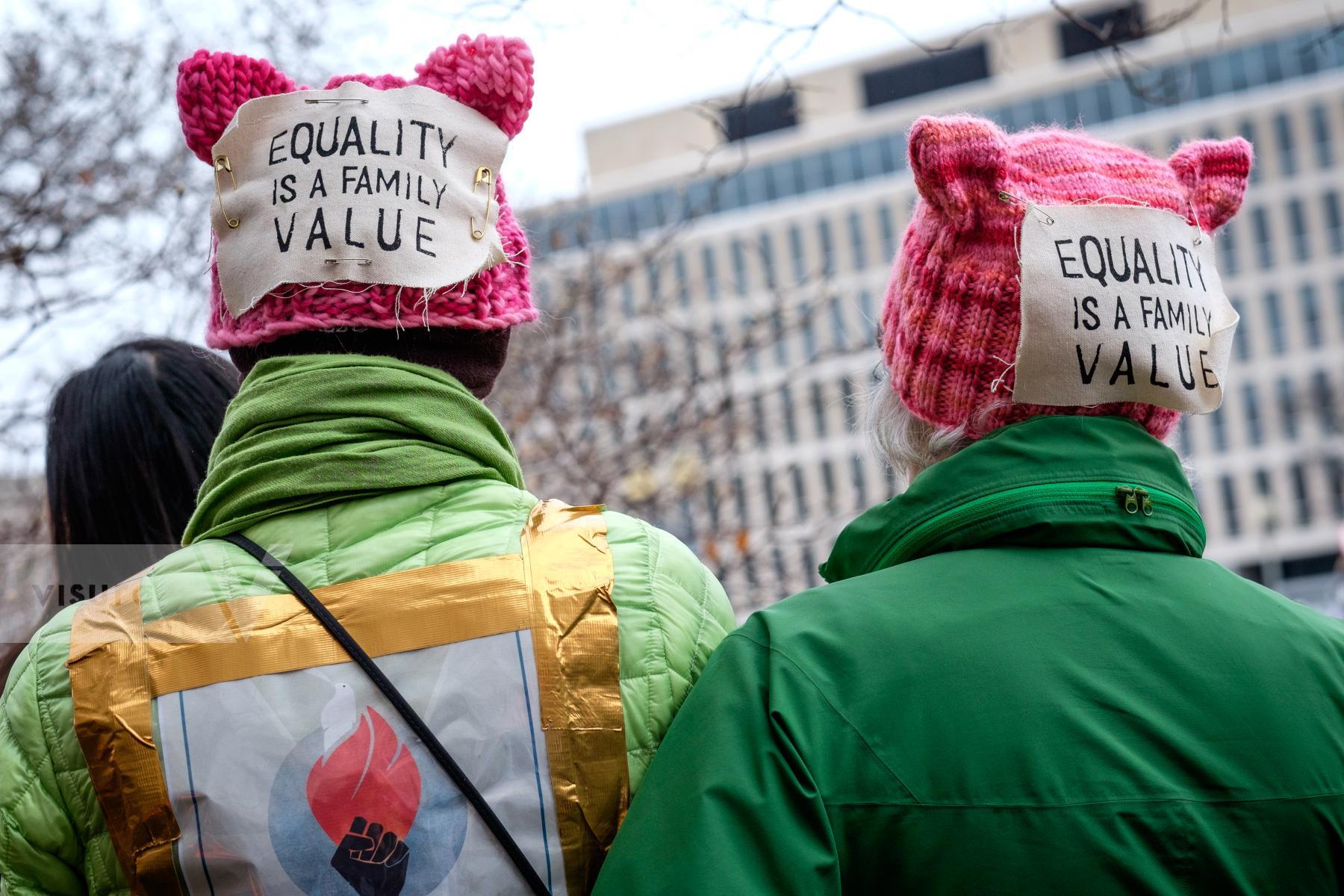 Purchase The Women's March on Washington by Carla Cioffi