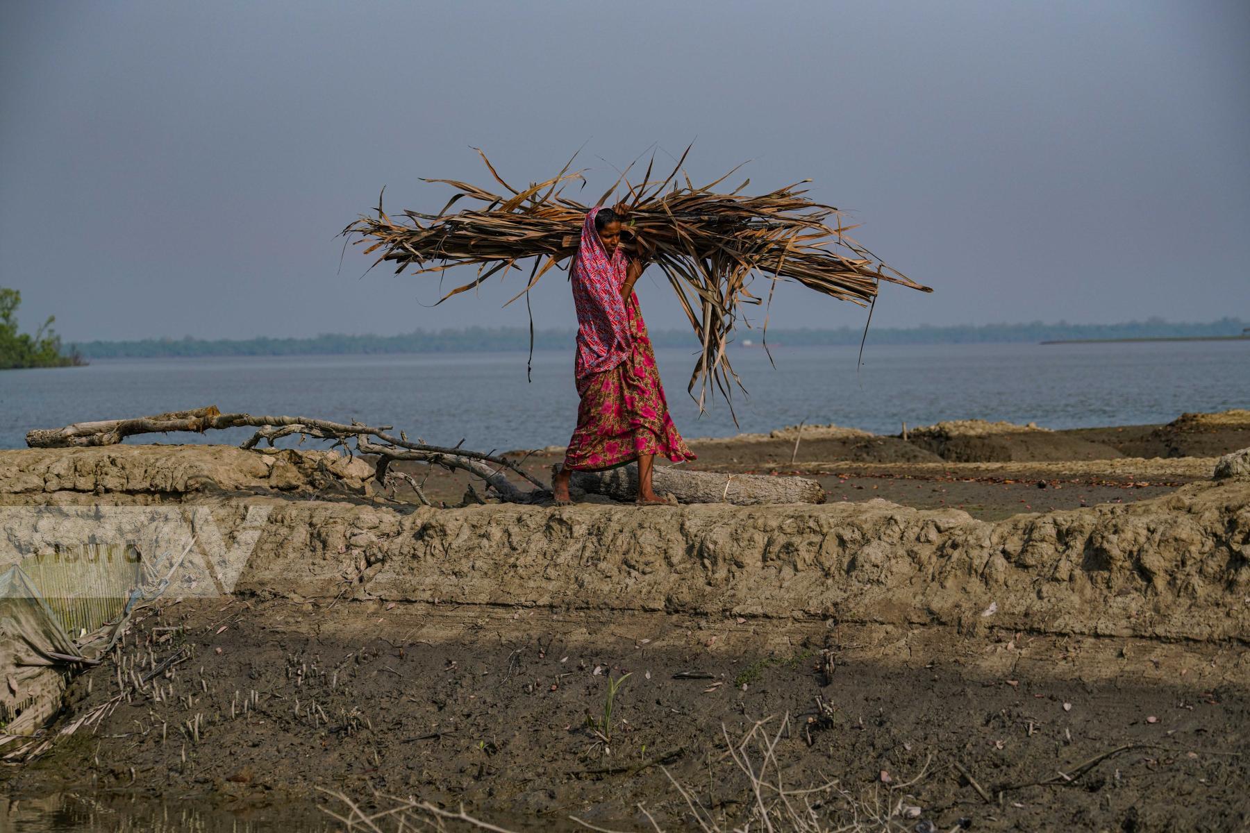 Purchase Life Around the Sundarbans In Bangladesh by Zabed Hasnain Chowdhury