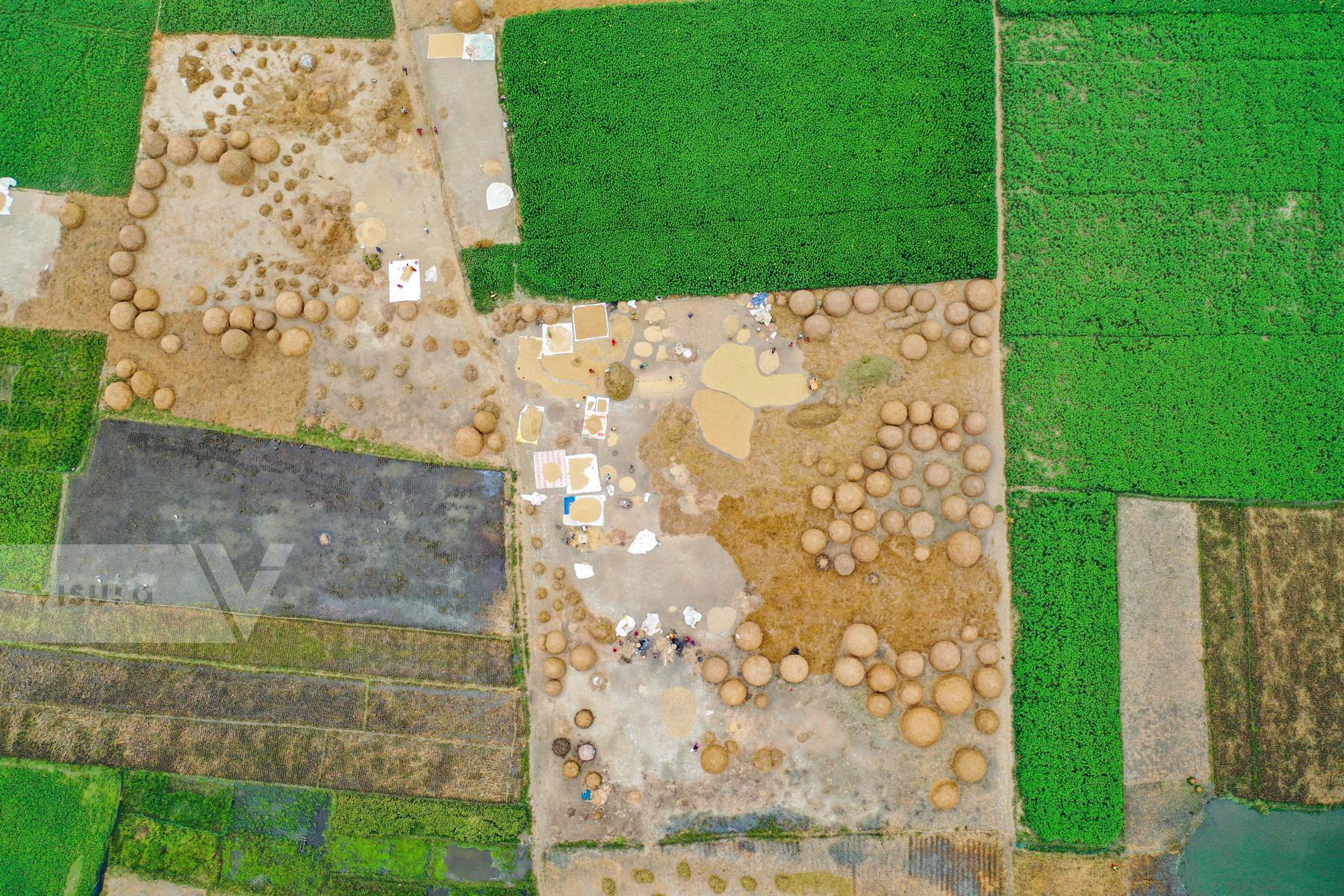 Purchase Paddy Field in Bangladesh by Zabed Hasnain Chowdhury