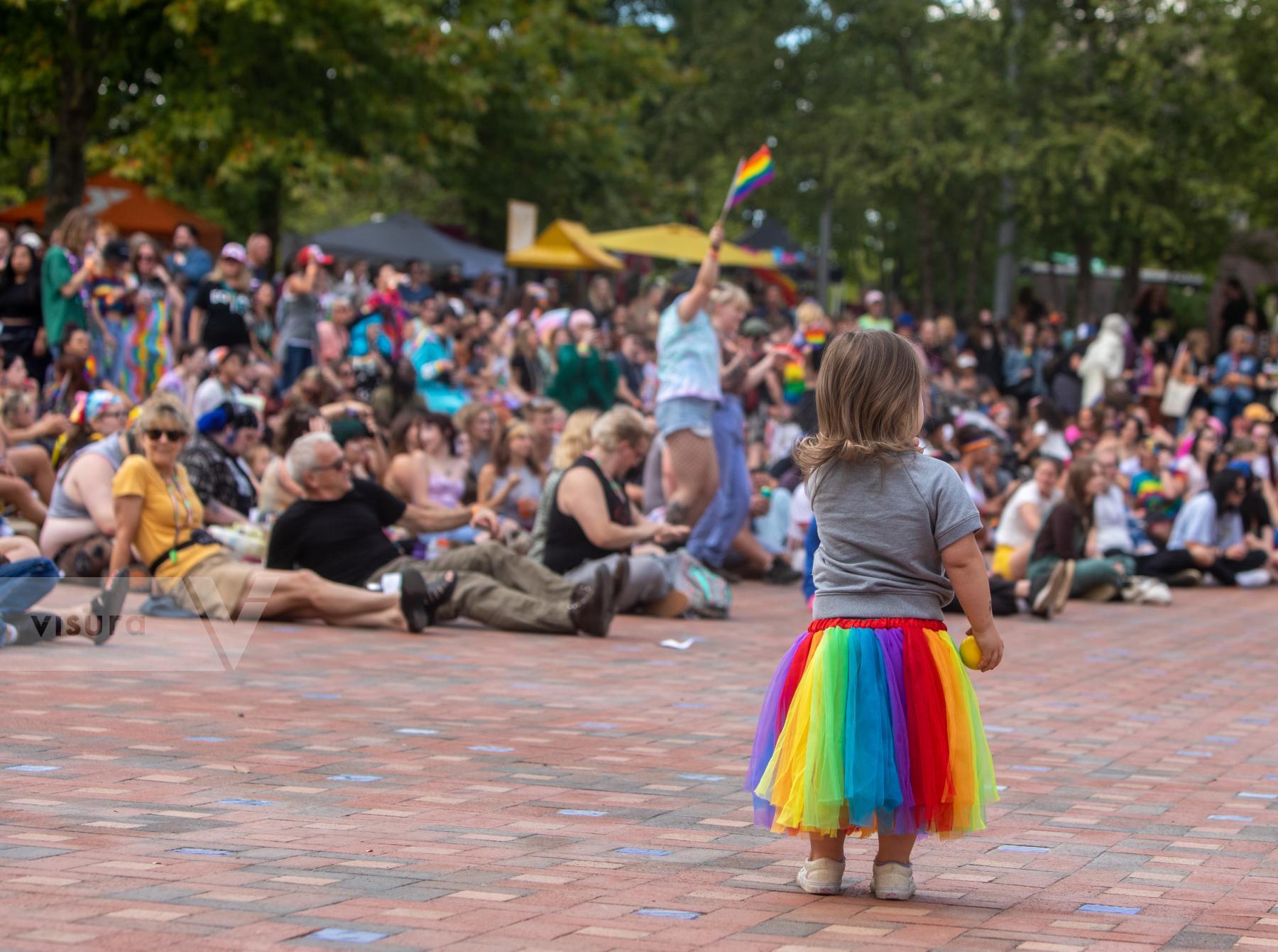 Purchase Families at the Blue Ridge Pride Festival by Katie Linsky Shaw