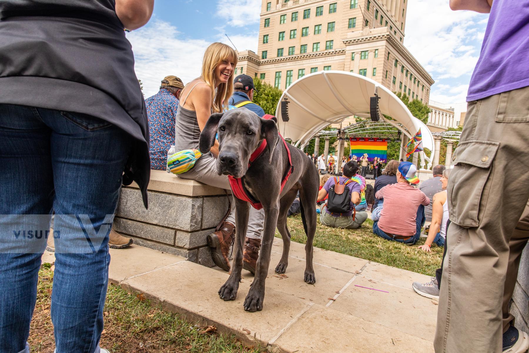 Purchase Dog-Friendly Asheville by Katie Linsky Shaw