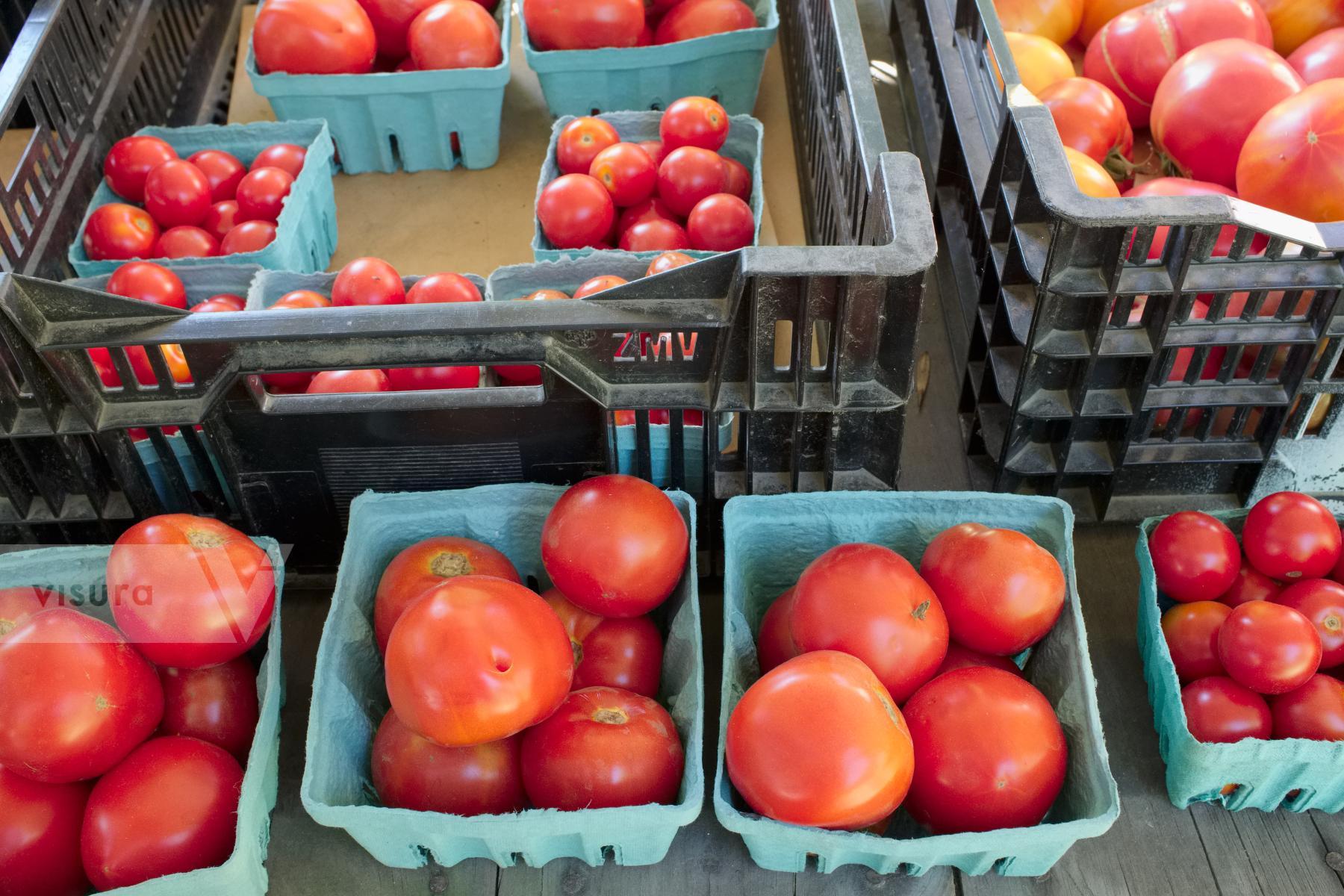 Purchase Tomatoes by Ellen Kok