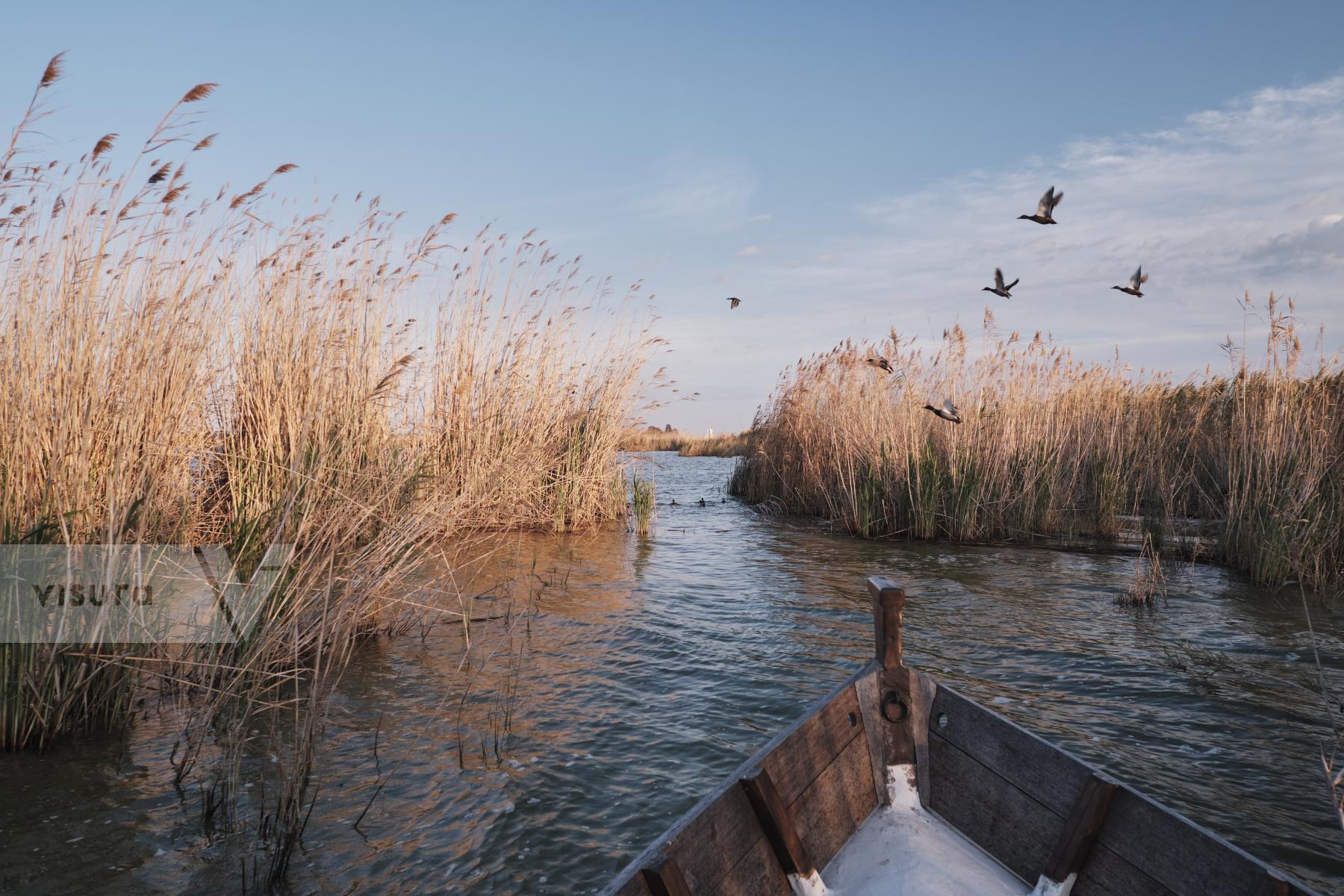 Purchase Albufera de València, 2021 by Oriol Clavera