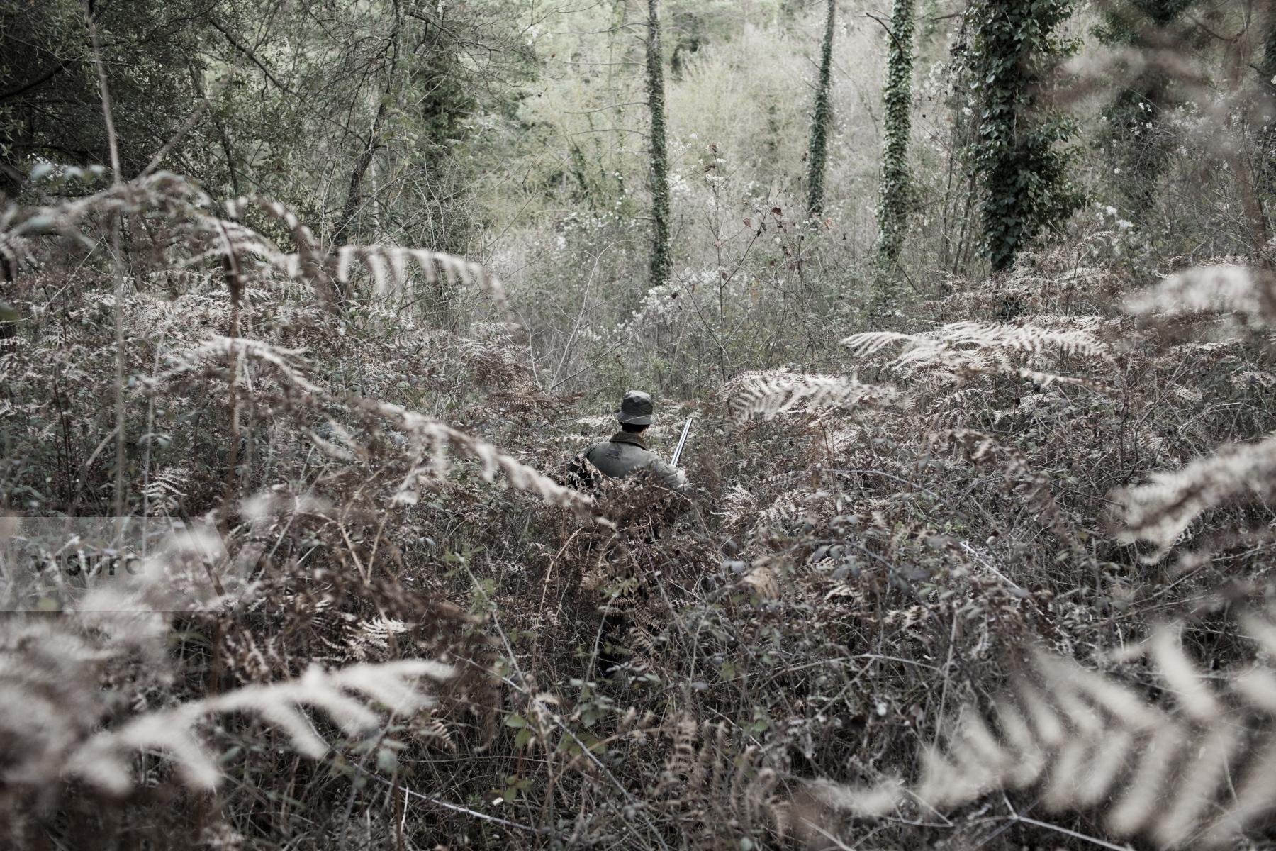 Purchase The hunter, 2013 by Oriol Clavera