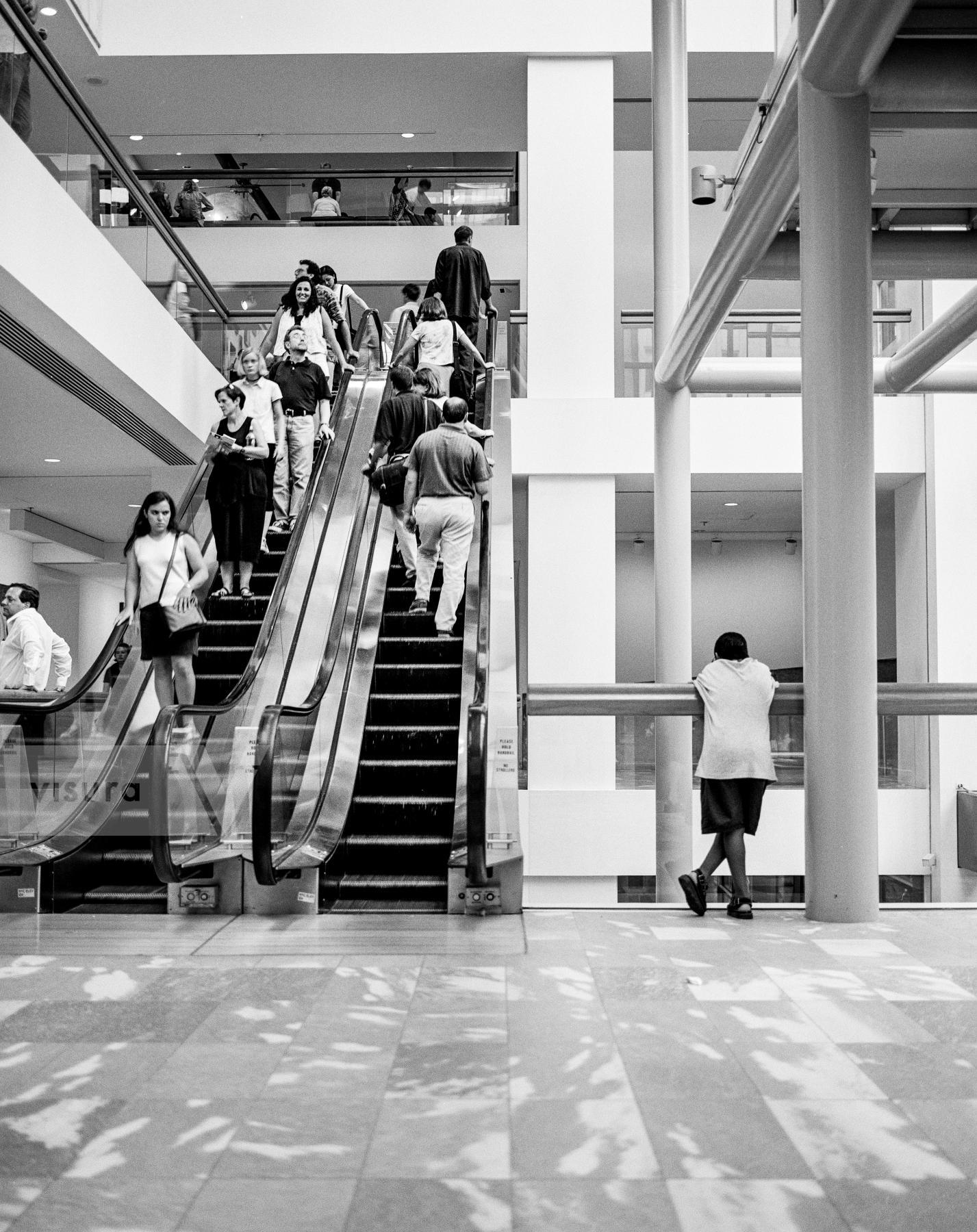 Purchase MoMA NYC 99080707 by Kenneth Nelson