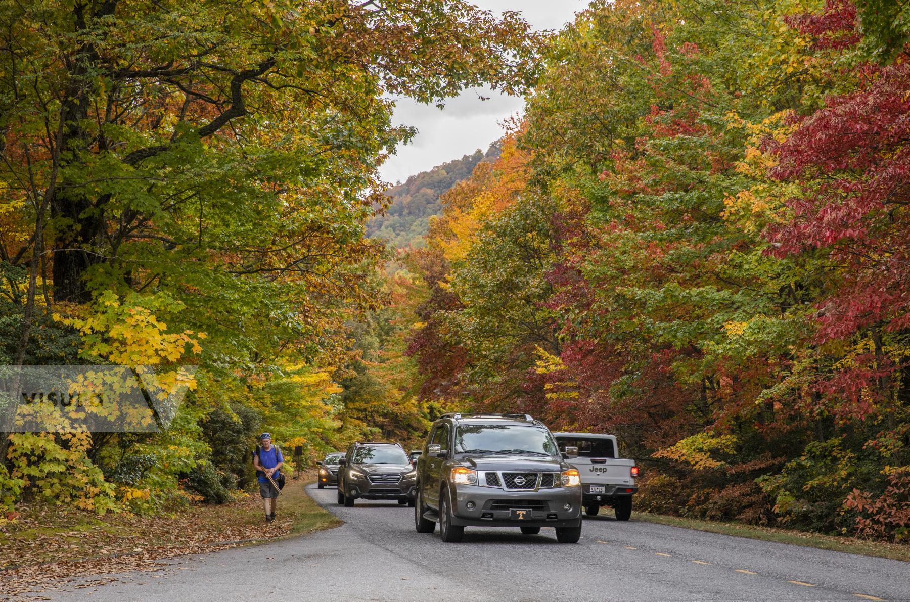 Purchase Busy Blue Ridge Parkway in the Fall by Katie Linsky Shaw
