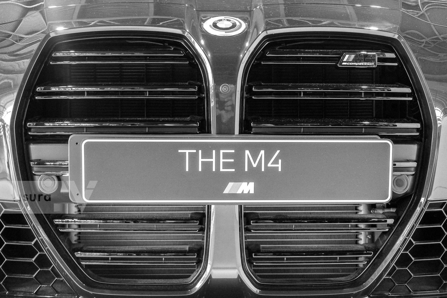 Purchase The M4 by James Reade Venable