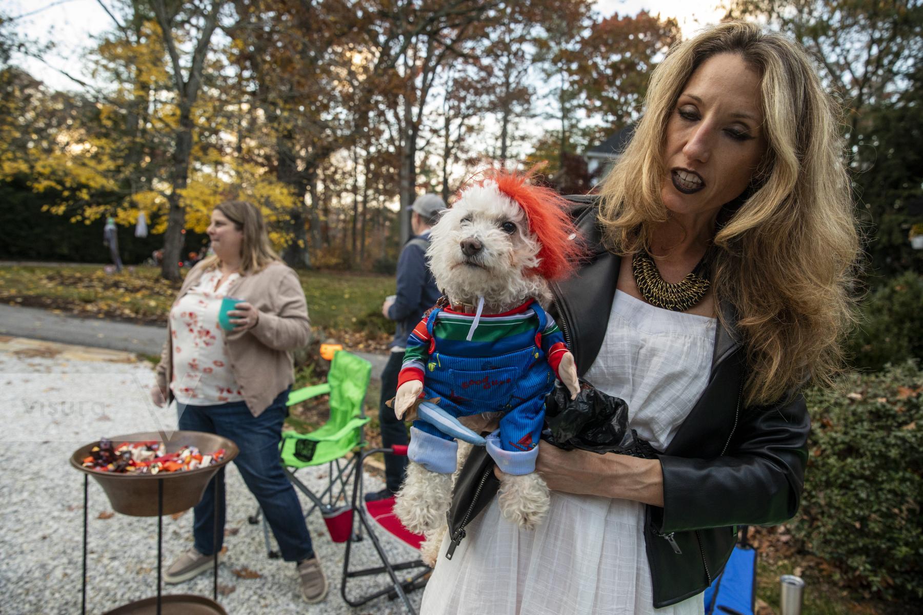 Purchase Chucky Dog for Halloween by Katie Linsky Shaw