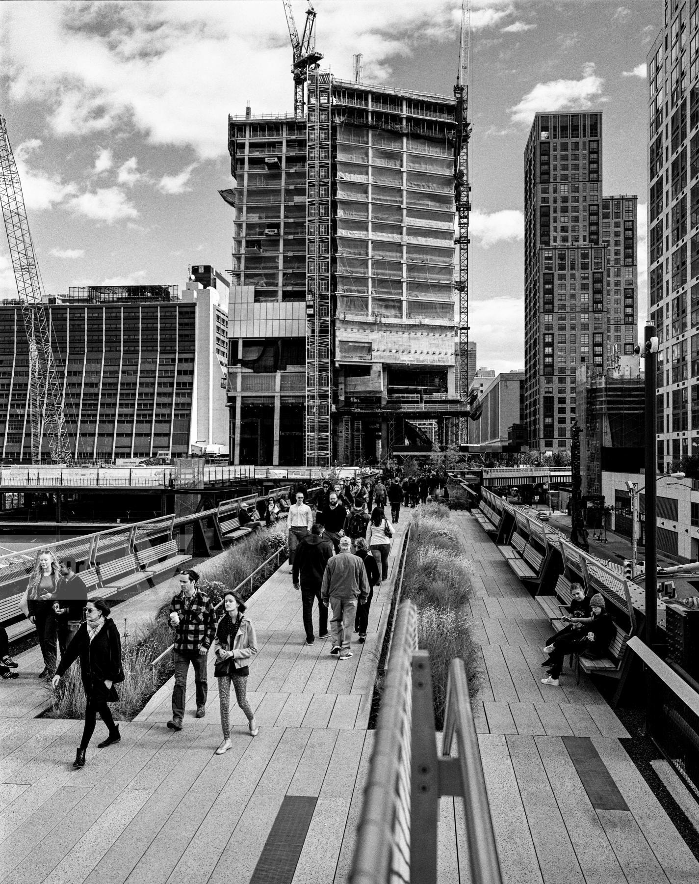 Purchase High Line Park 141101102 by Kenneth Nelson