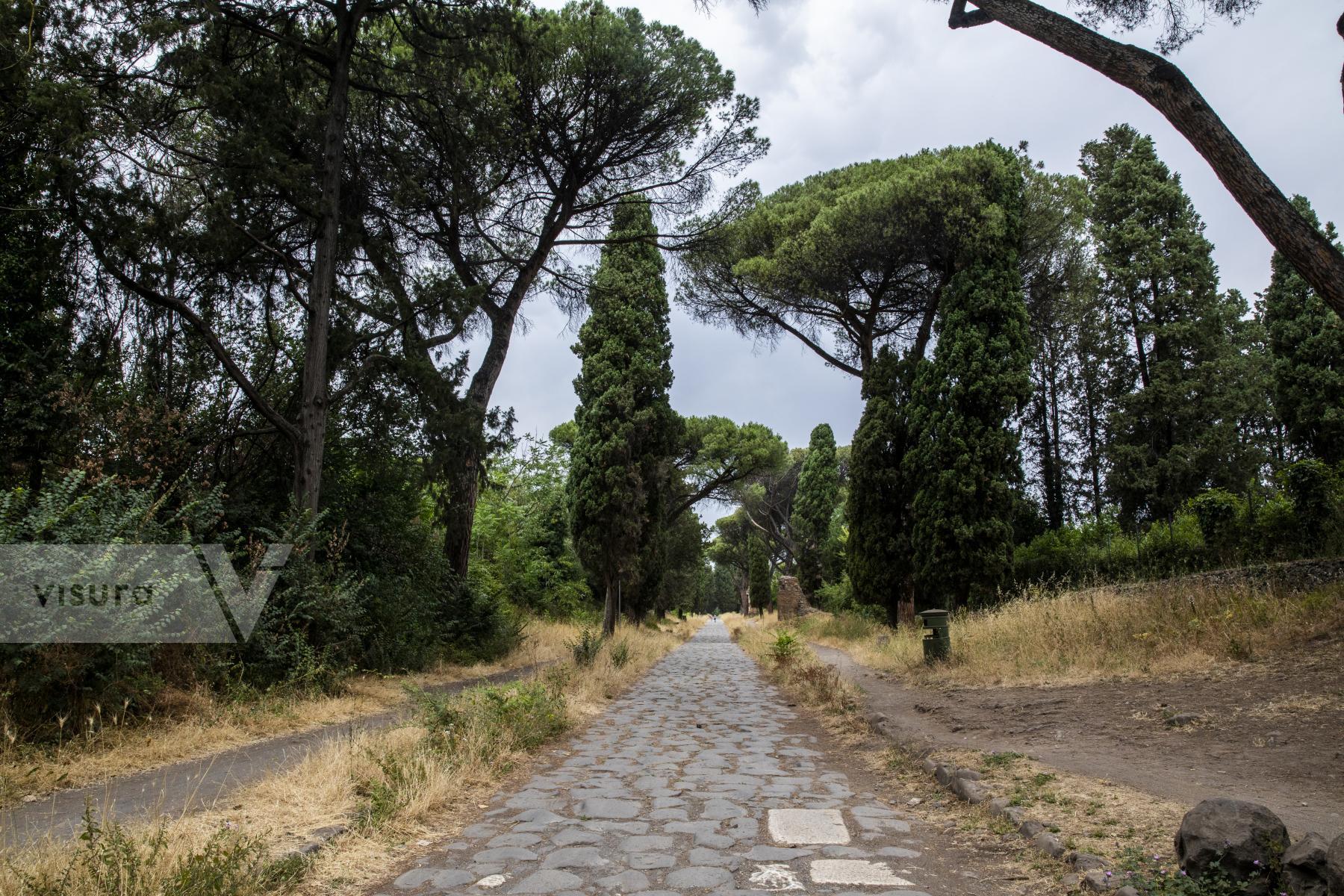 Purchase The Appian Way - Europe's First Superhighway by Katie Linsky Shaw