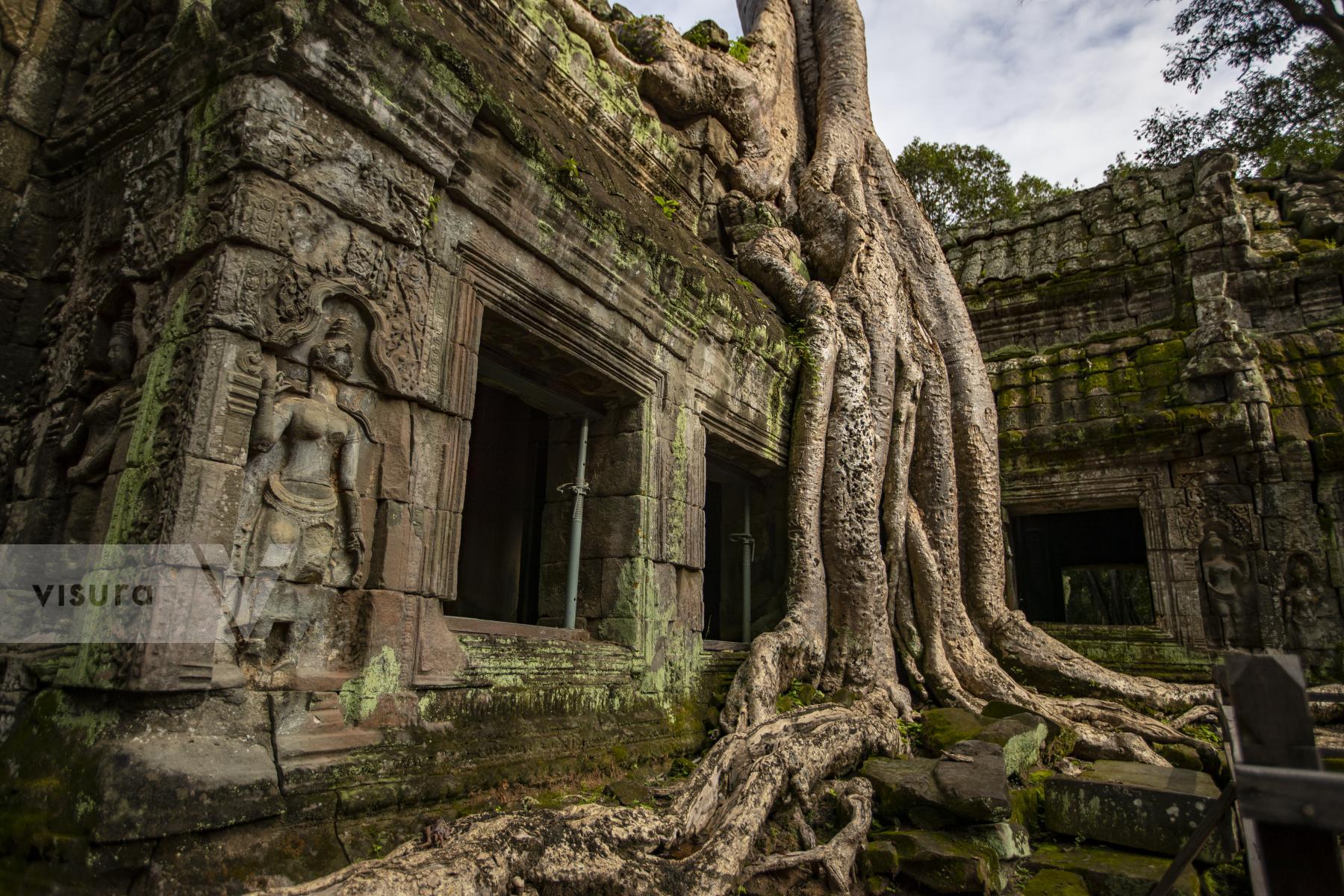 Purchase Ta Prohm Temple by Austin Anthony