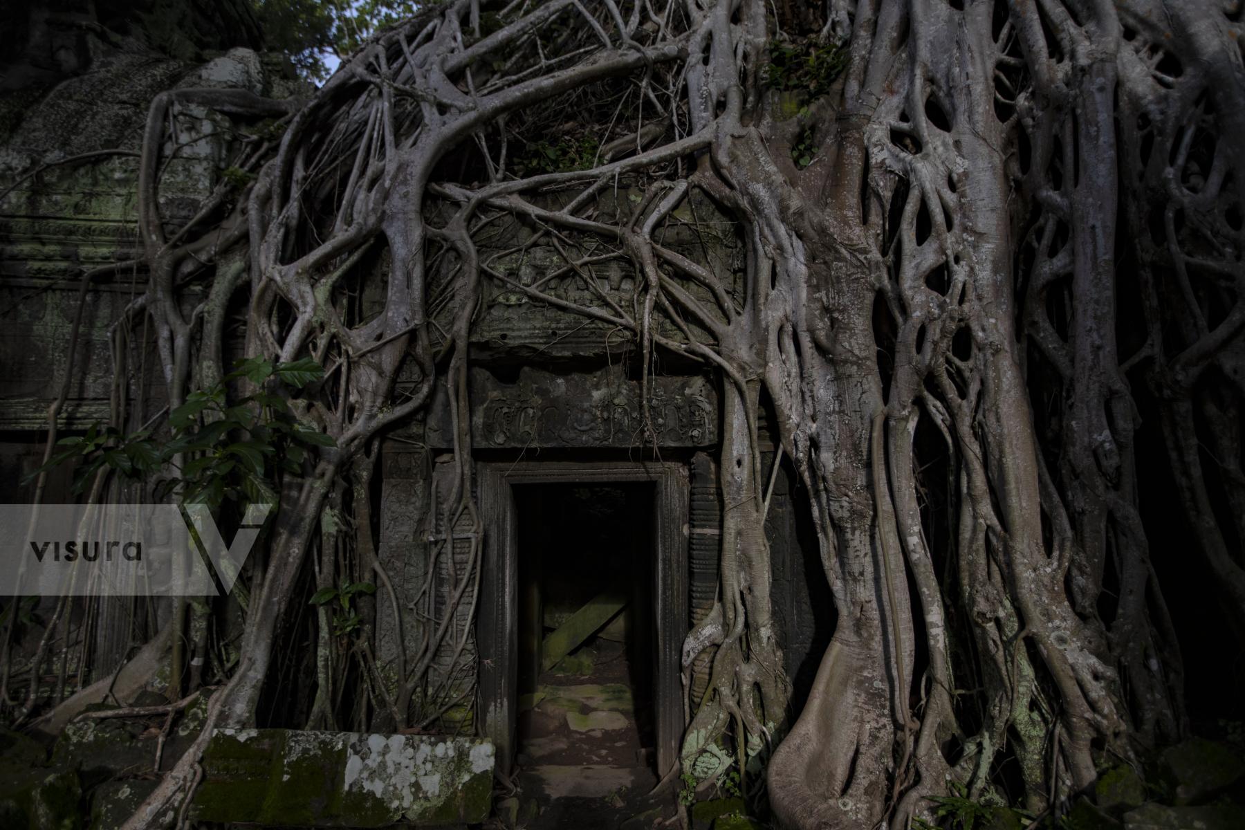 Purchase Ta Prohm Temple Doorway by Austin Anthony