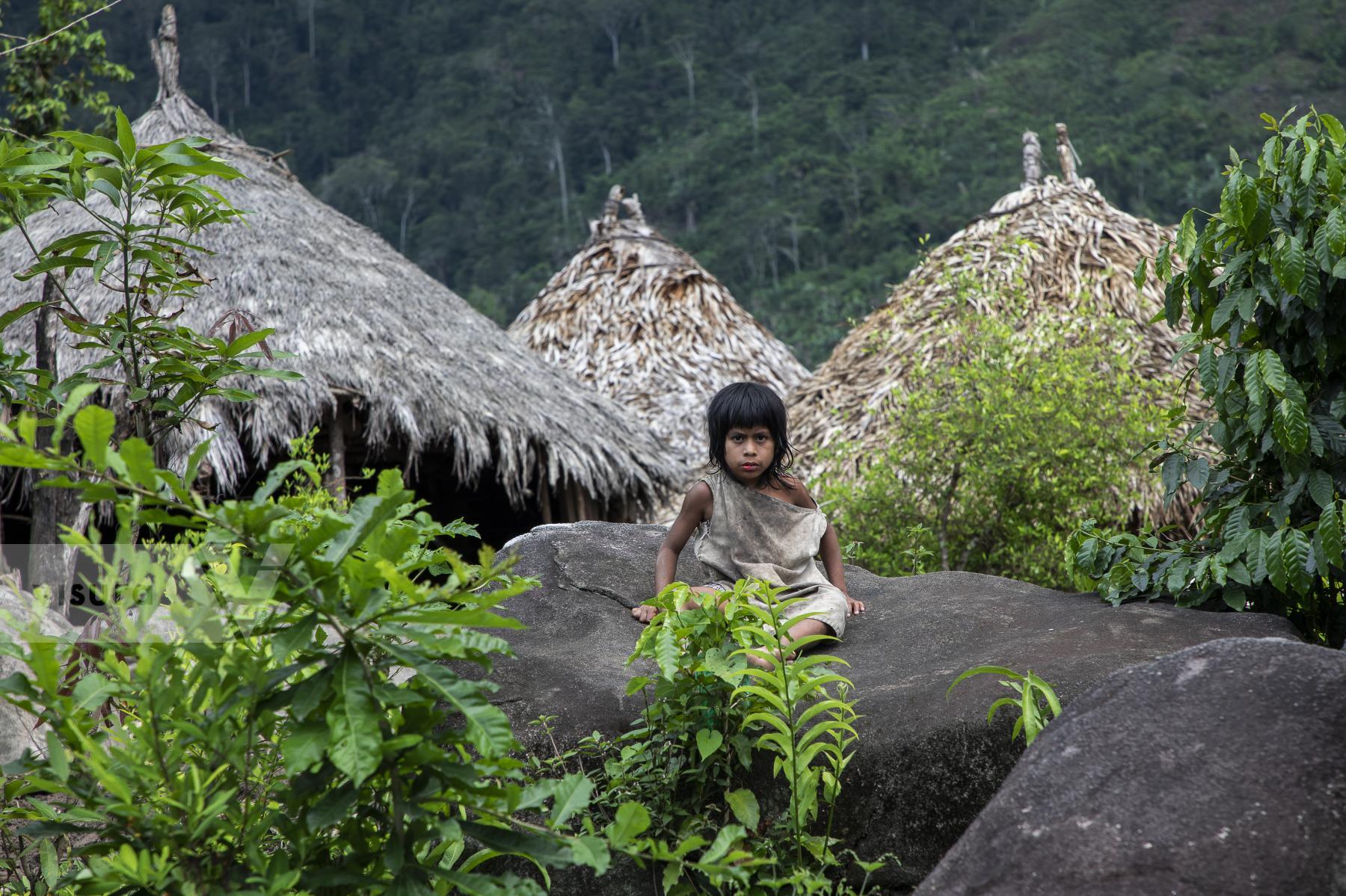 Purchase Threatened ancestral culture by Juan Tapias