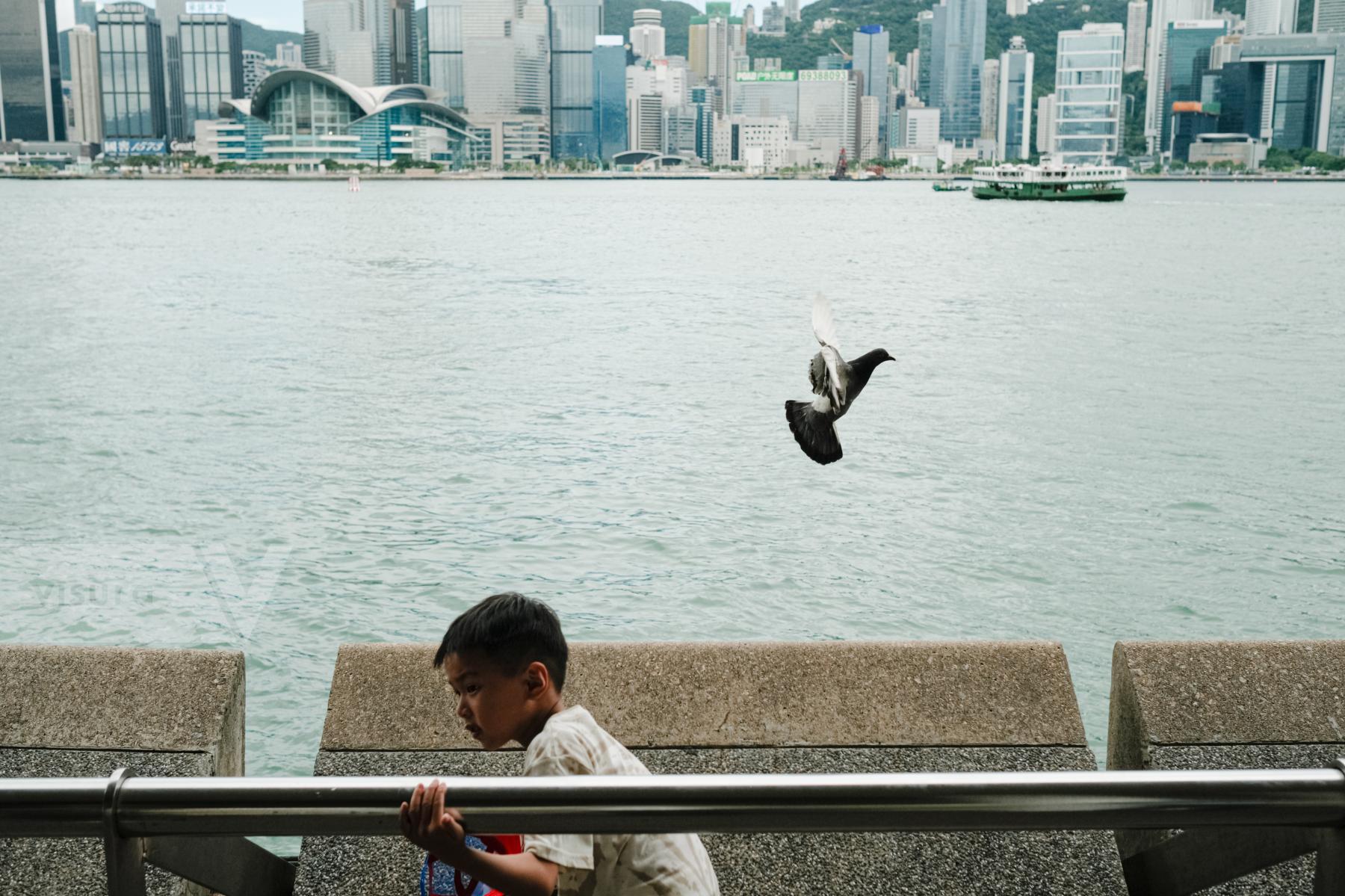 Purchase Hong Kong daily by Keith Tsuji