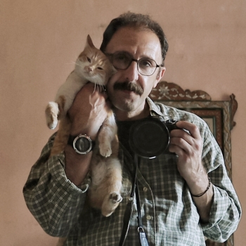 Profile Photo of MohammadAli Berno